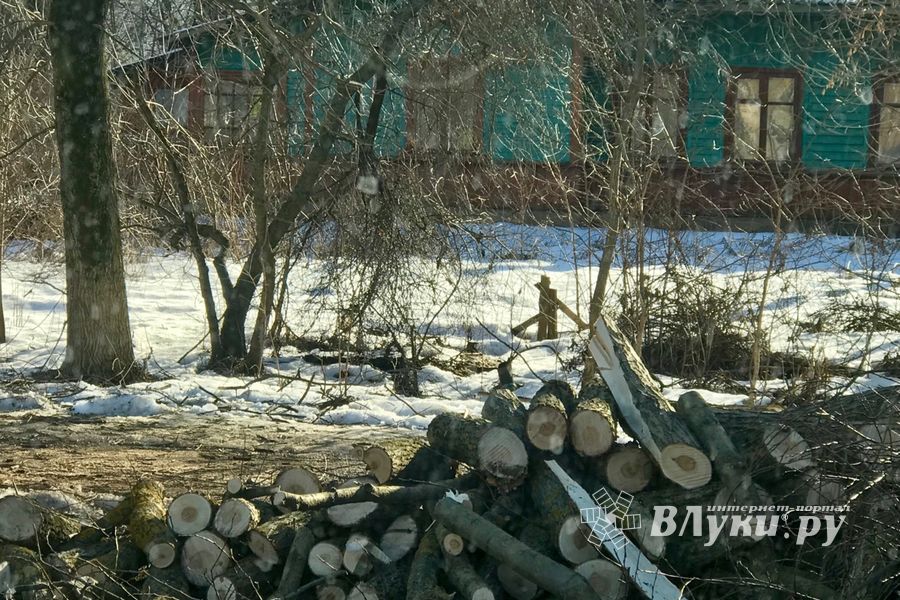 В Великих Луках удаляют угрожающие гражданам ветви (ФОТО)