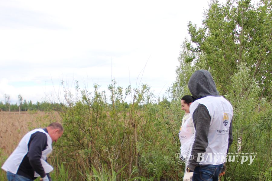 «Партия Дела» делает дело