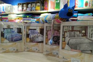 Кот Барон приготовил подарки для женщин