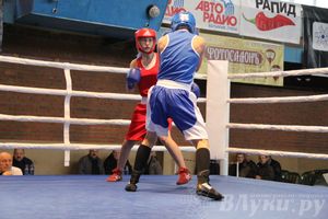 16-й Международный турнир по боксу (фото)