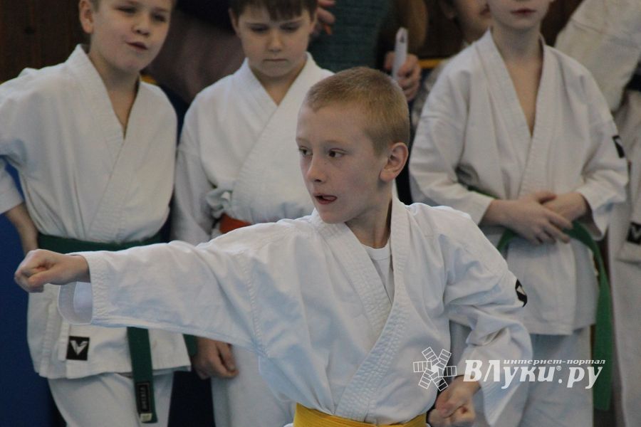 В Великих Луках прошел Открытый чемпионат Псковской области по каратэ