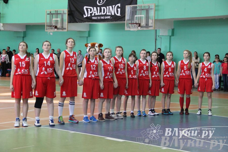 Чемпионат ШБЛ «КЭС-БАСКЕТ» сезона 2013-2014 гг. Псковской области