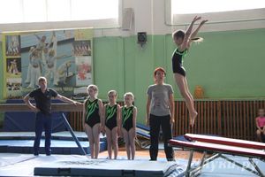 В Великих Луках состоялось Первенство по командной гимнастике (фото)