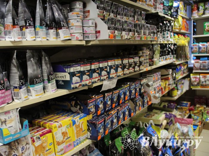 «Zooбастики»: подарите праздник своим любимцам! (ФОТО+ВИДЕО)