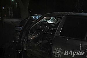 В Великих Луках водитель БМВ врезался в дерево (ФОТО)