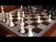 Импульс-ТВ: Шахматная королева 
