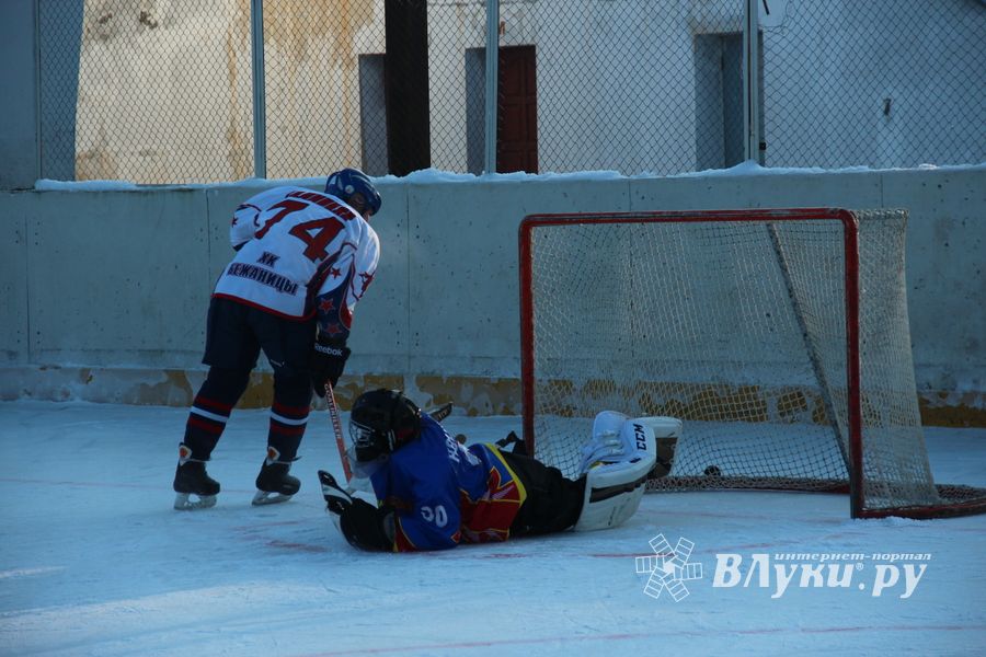 Великолукские хоккеисты разгромили гостей (фото)