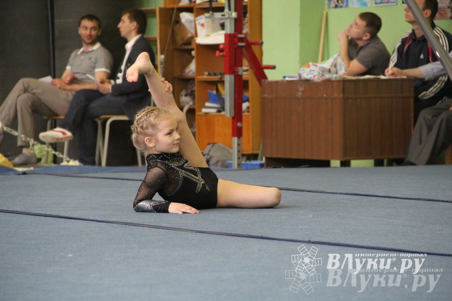 В Великих Луках прошел турнир по спортивной гимнастике (фото)