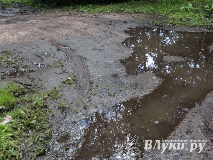 Великие Луки после дождичка в четверг (ФОТО)