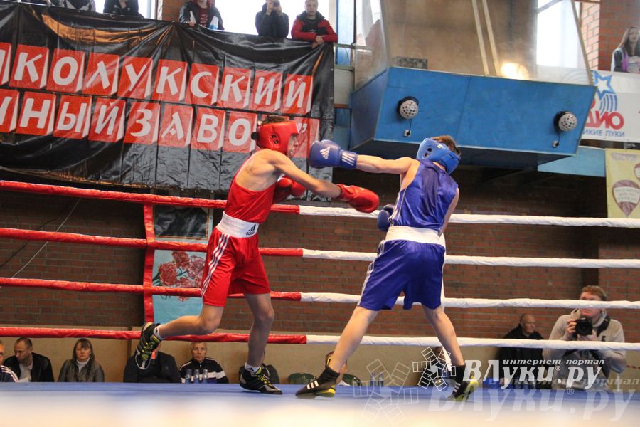 16-й Международный турнир по боксу (фото)