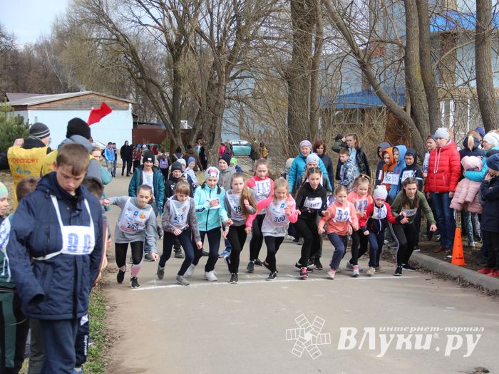 В Великих Луках прошёл легкоатлетический кросс (ФОТО)