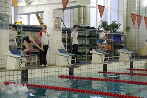 В Великих Луках прошло Первенство города по плаванию (фото)