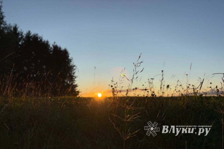 ВЛуки.ру