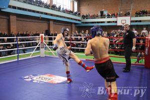 В Великих Луках прошел межрегиональный Открытый Кубок по смешанному боевому единоборству (фото)