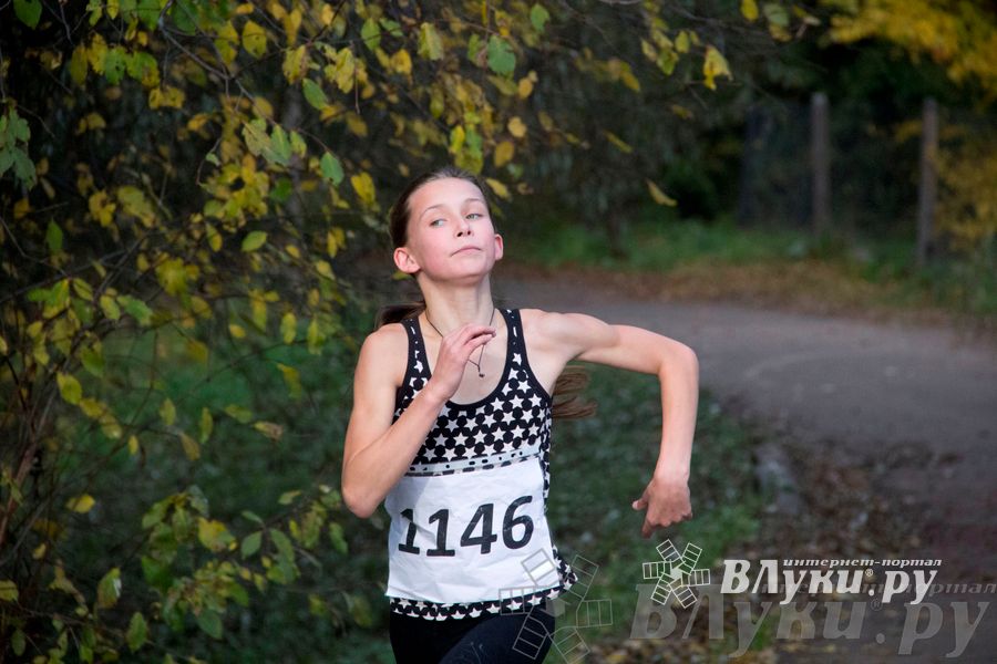 В Великих Луках прошел «Осенний кросс» 