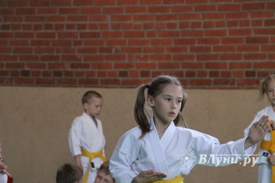 Турнир по каратэ