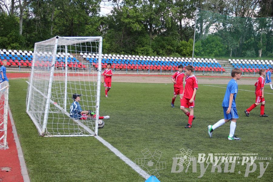 «Локобол-2013» в Великих Луках