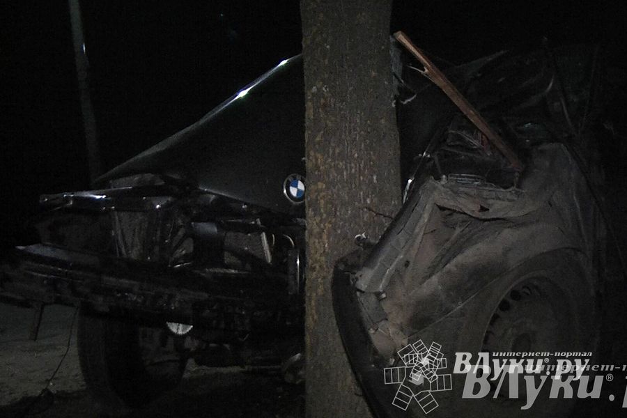 В Великих Луках водитель БМВ врезался в дерево (ФОТО)