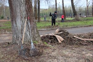 На острове Дятлинка проходит субботник