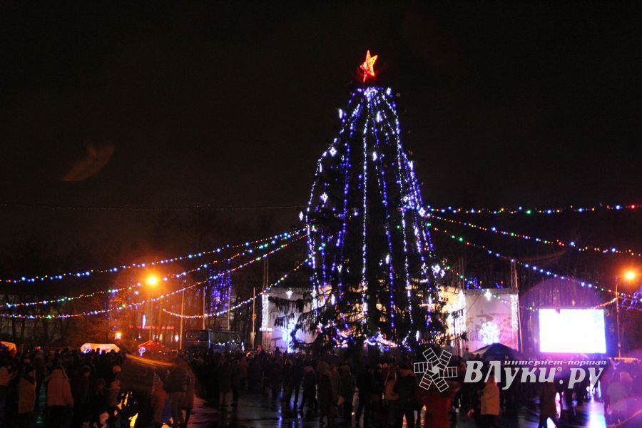 Дождик не помешал открытию городской ёлки (ФОТО)