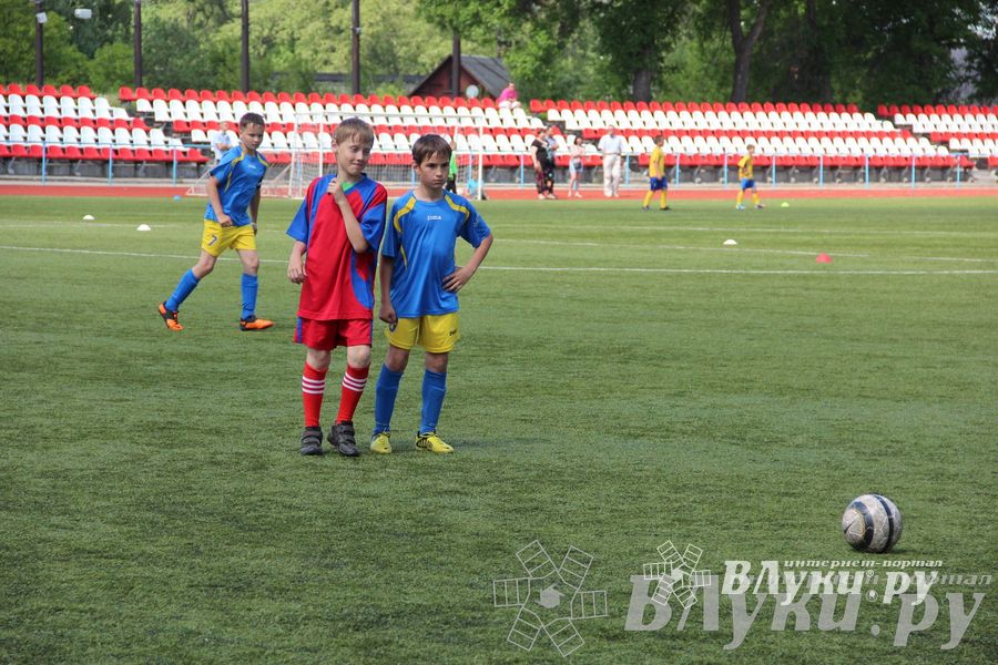 «Локобол-2013» в Великих Луках