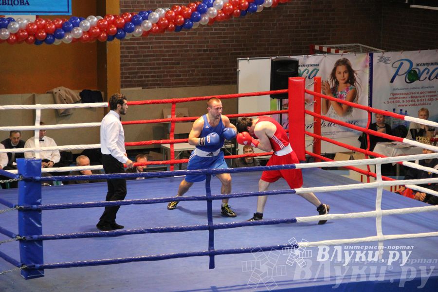 16-й Международный турнир по боксу (фото)