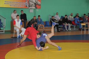 В Великих Луках прошел турнир по самбо, посвященный подвигу Александра Матросова (ФОТО)