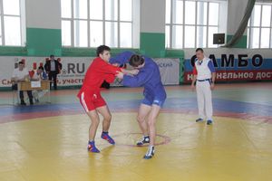 В Великих Луках прошел турнир по самбо, посвященный подвигу Александра Матросова (ФОТО)