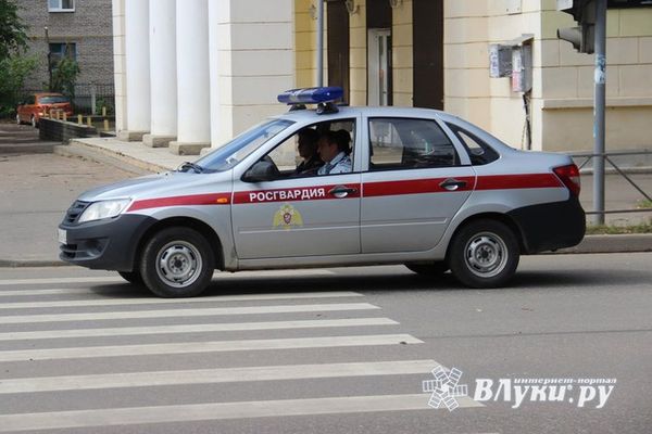 Великолучанин попался на краже мяса курицы