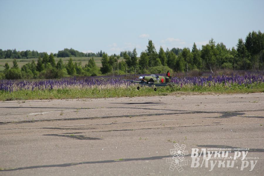 В Великих Луках прошел Фестиваль авиамодельного спорта (фото)