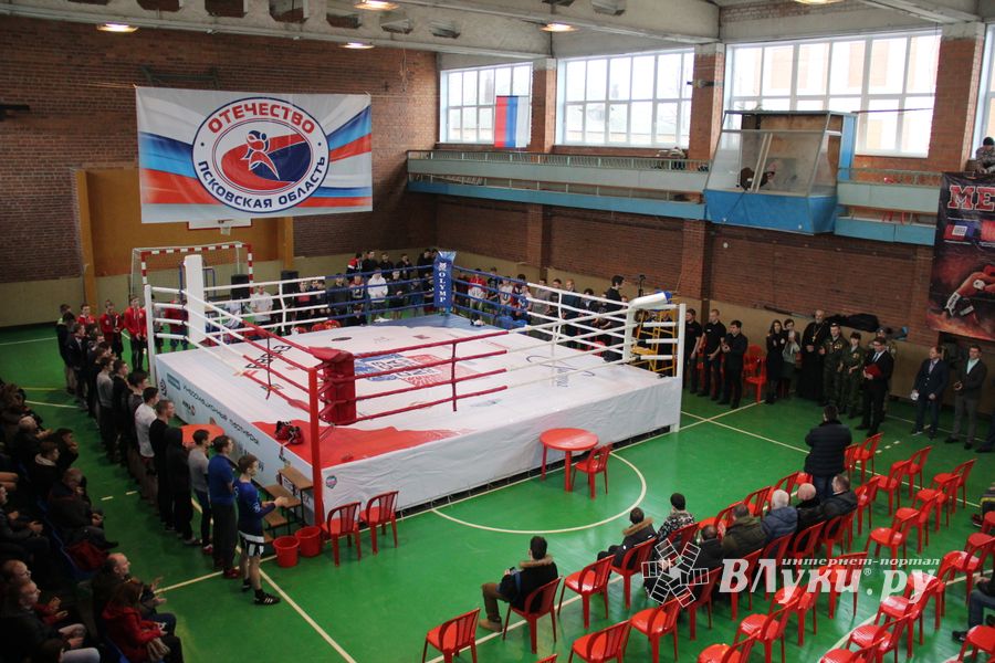 В Великих Луках прошел международный открытый Кубок по смешанному боевому единоборству (ФОТО) (16+)