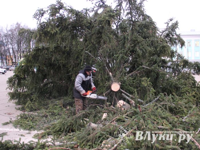 Необычное украшение сняли с главной ёлки Великих Лук (ФОТО)