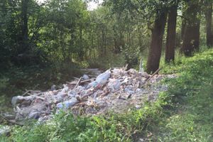 На обочину трассы Булынино-Невель выбрасывают даже автомобили (ФОТО)