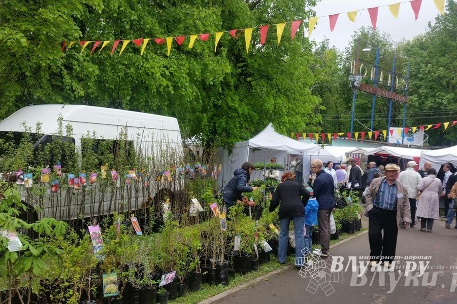 Сегодня в Пскове открылась 22-ая универсальная выставка (фото)