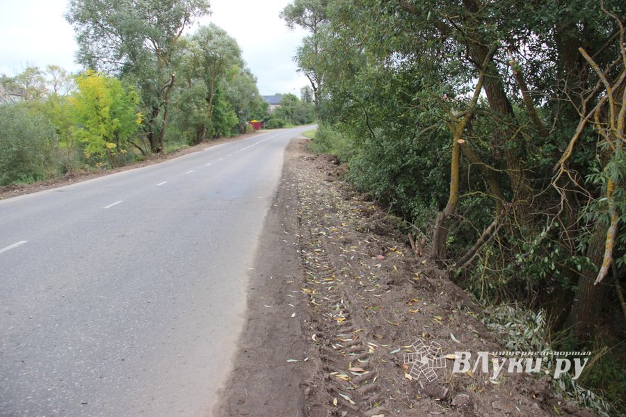 На Новосокольнической расширили и очистили обочину (ФОТО)