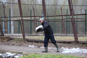 На острове Дятлинка проходит субботник