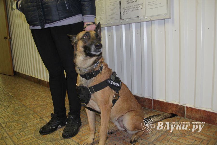 В Великих Луках проходит акция «Сообщи где торгуют смертью» (ФОТО)