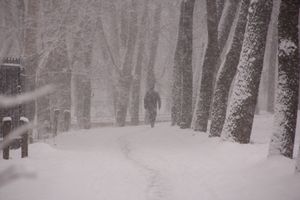 В Великих Луках снегопад и «день жестянщика» (фото)