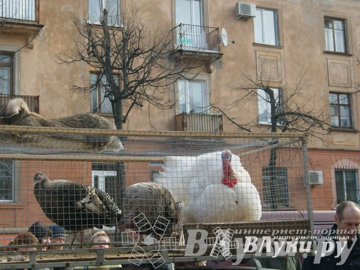 Весенняя ярмарка 2013 прошла в Великих Луках