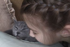 ©ВЛуки.ру