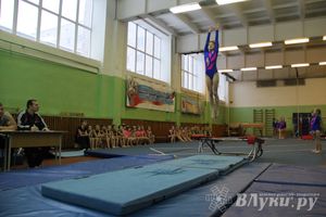 В Великих Луках состоялось Первенство по командной гимнастике (фото)