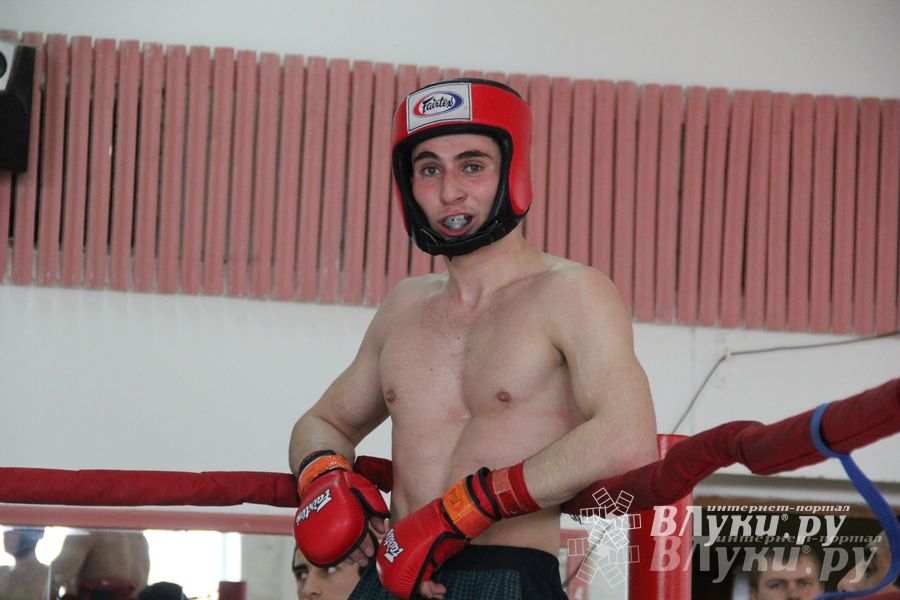 В Великих Луках прошел Чемпионат области по смешанному боевому единоборству (фото)