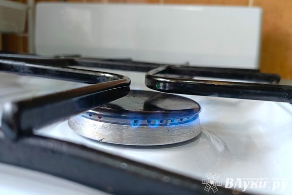 С начала года в Псковской области совершили почти 1300 пусков газа в дома