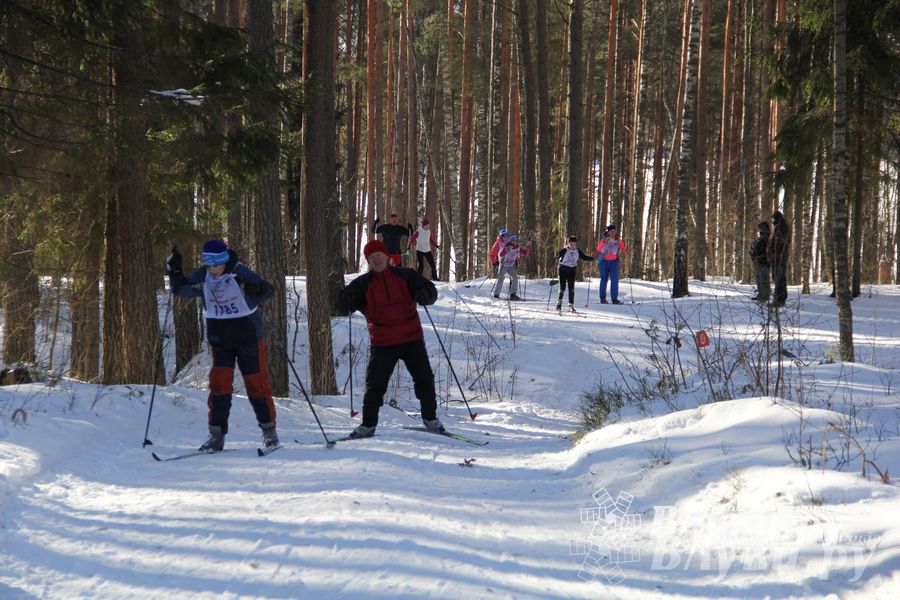 Всероссийская массовая лыжная гонка «Лыжня России 2015» состоялась в Великолукском районе (фото)
