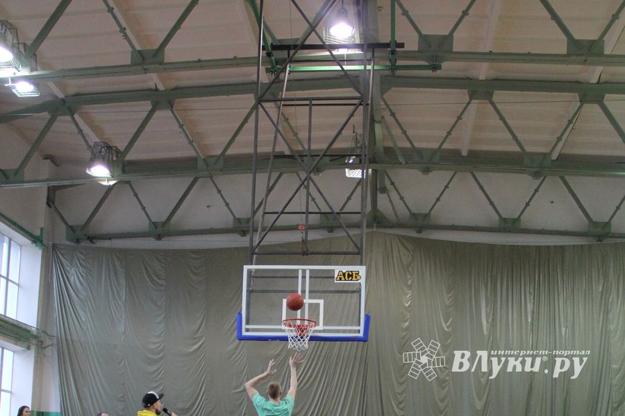 Чемпионат ШБЛ «КЭС-БАСКЕТ» сезона 2013-2014 гг. Псковской области