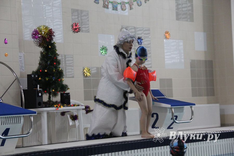 В Великолукском Айсберге прошли соревнования по плаванию на призы Деда Мороза (ФОТО)