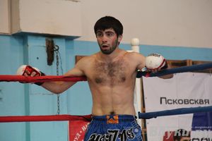 Открытый Кубок города Великие Луки по смешанному боевому единоборству (ММА)