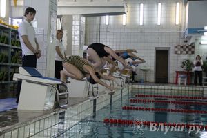 В Великих Луках прошло Первенство по плаванию (фото)