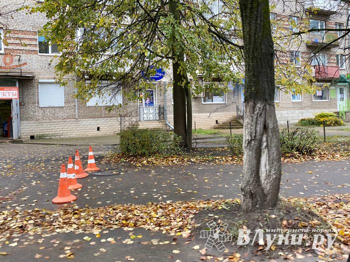 В Великих Луках на улице Зверева обновляют тротуар (ФОТО)