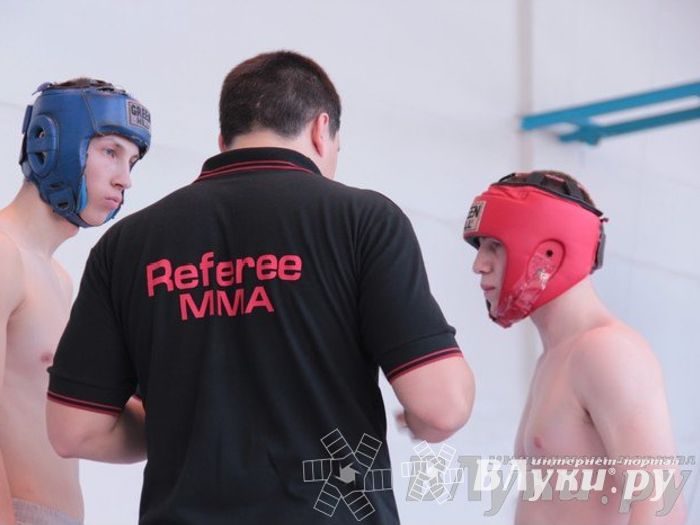 Чемпионат Псковской области по ММА